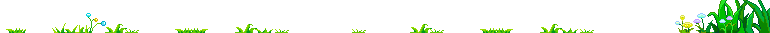 胡蘿卜兔